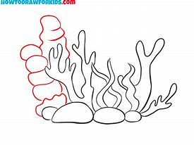 Image result for Coral Reef Draw