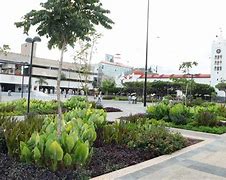 Image result for Nuevo Parque Central Tapachula Chiapas