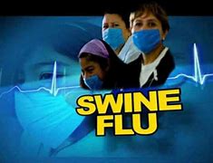 Image result for Swine Flu Infections