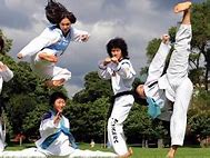 Image result for South Korean Taekwondo