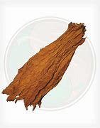 Image result for Tobacco Leaf with Plume