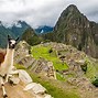 Image result for Llama and Alpaca