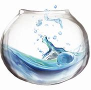 Image result for Transparent Glass Bowl