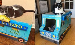 Image result for Taco Cat Food Truck