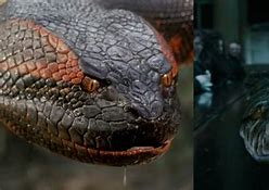 Image result for Horror Movies About Snakes