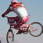 Image result for Hutch BMX Logo