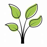 Image result for Mahangu Plant Leaf Clip Art