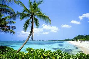 Image result for Bahamas Beach