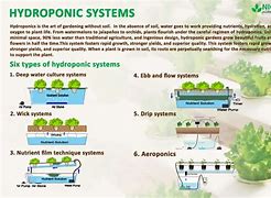 Image result for Hydroponic Watering System