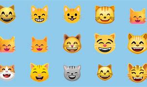 Image result for Cat Smiling Memw