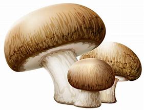 Image result for 1-Up Mushroom PNG