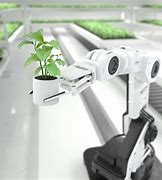 Image result for Vertical Insect Farming Industry