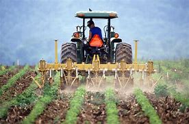 Image result for Farming Stock Image