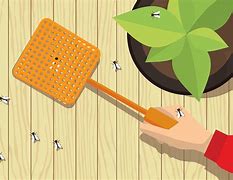 Image result for Fly Swatter Art