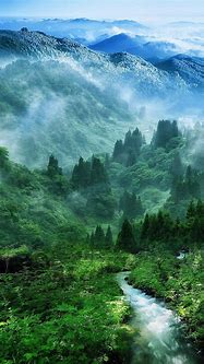 Image result for iPhone 14 Wallpaper Nature