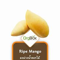 Image result for Ripe Mango Powder