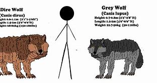 Image result for Grey Dire Wolf