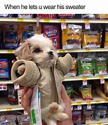 Image result for Resivior Dog Meme Ear