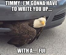 Image result for I'm an Eagle Meme