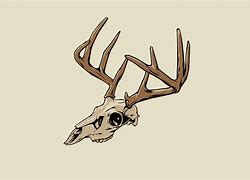 Image result for Deer Skull Icon