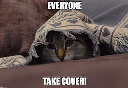 Image result for Angry Cat Hiding Meme