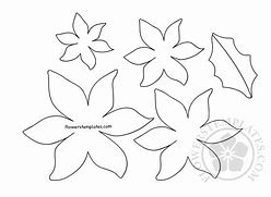 Image result for Poinsettia Print