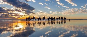 Image result for Broome Sunset Camel Ride