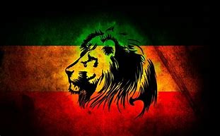 Image result for Rasta Lion with Crown