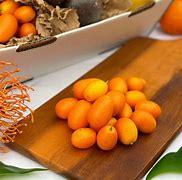 Image result for Where to Purchase Kumquat Fruit