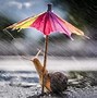 Image result for Animate Rain