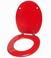 Image result for Red Toilet