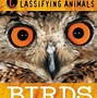 Image result for Birds for Kids