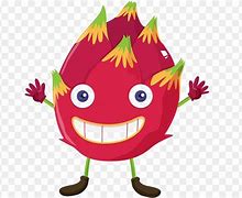 Image result for Buah Naga Merah Anima Si