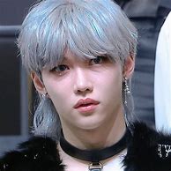 Image result for Felix UGS Skz Megavers