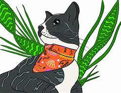 Image result for Cat with Bandana Drawing Base