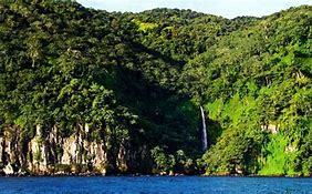 Image result for Cocos Island City