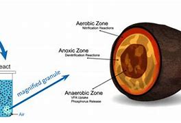 Image result for Aerobic Granular Sludge Process