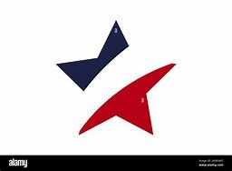 Image result for Us Star Logo