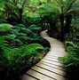 Image result for Long Path