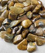 Image result for Lion Skin Crystal