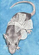 Image result for Pet Rat Drawing