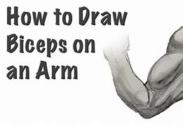 Image result for Drawings of Biceps