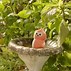 Image result for ZINGY Machine