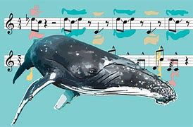 Image result for Sing 1 Whale