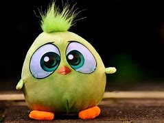 Image result for Bird Stuffed Animal