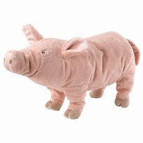 Image result for Pink Pig Soft Toy