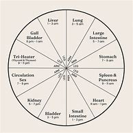 Image result for Qi Organ Cleanse Clock Cycle