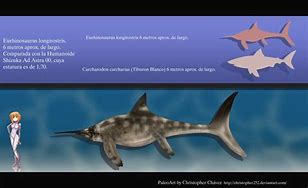 Image result for Eurhinosaurus