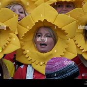 Image result for Welsh Rugby Cute Pics