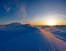 Image result for Arctic Ground Cover Alaska